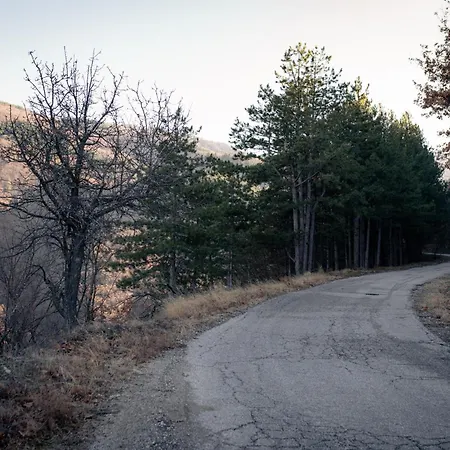 'кадийца' * Sushitsa