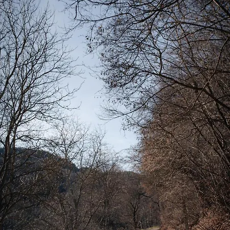 Semesterbostad 'кадийца' *