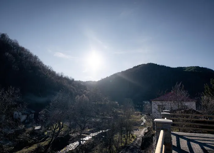 'кадийца' Nyaraló *