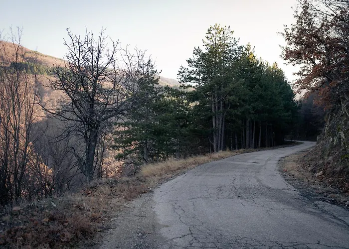 'кадийца' * Sushitsa