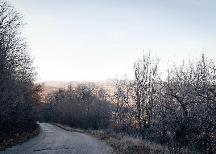 'кадийца' Nyaraló Sushitsa