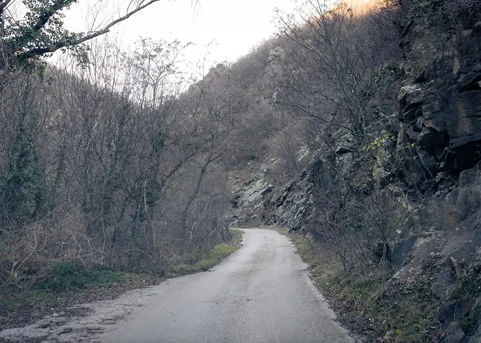 'кадийца' Nyaraló Sushitsa