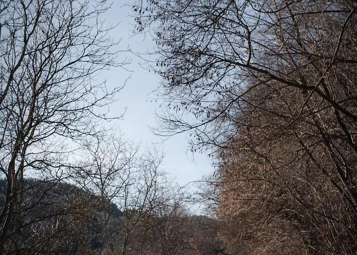 Nyaraló 'кадийца' *